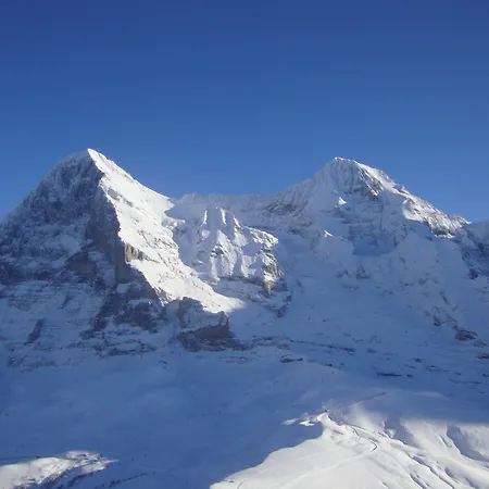 Grand Belvedere, A Beaumier Wengen