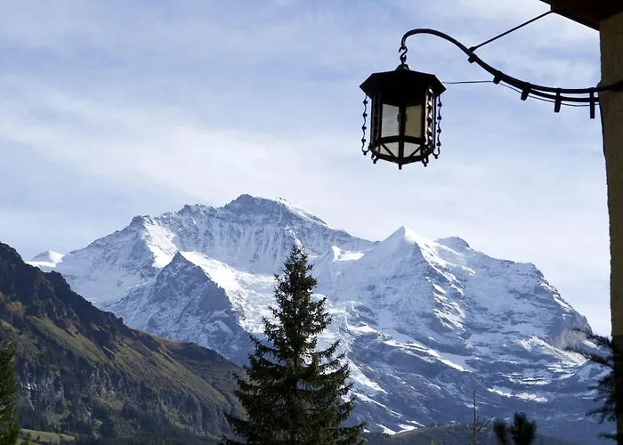 Grand Belvedere, A Beaumier 5*