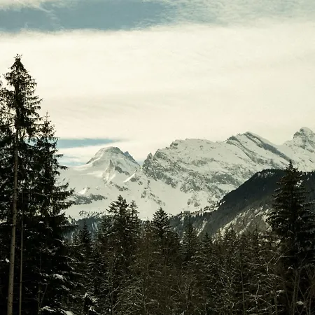 Belvédère Wengen
