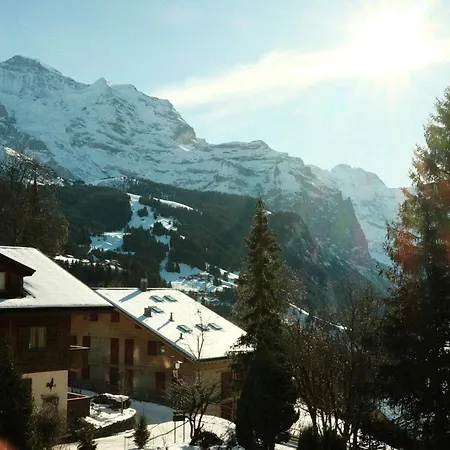 Hotel Belvédère Wengen
