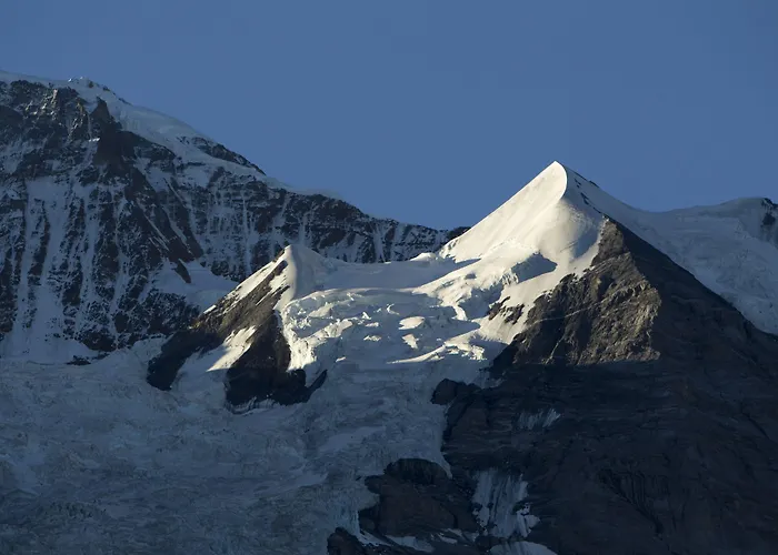 Grand Belvedere, A Beaumier فندق